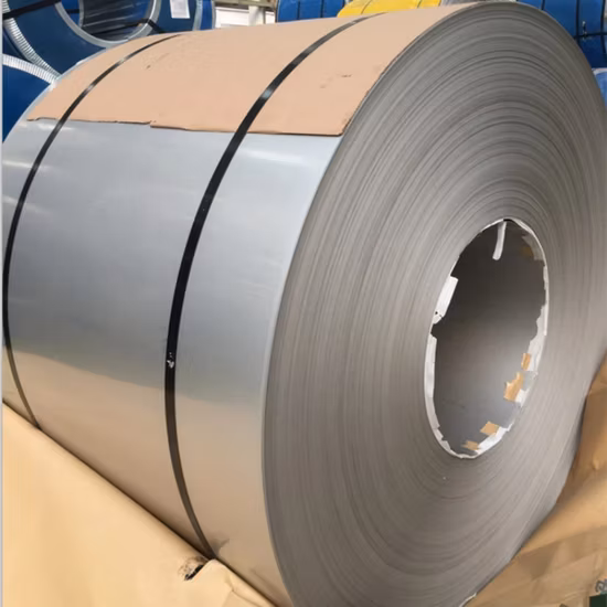 Hot Selling Wholesales Cold/Hot Rolled 318 904 304 301 Stainless Steel Coil